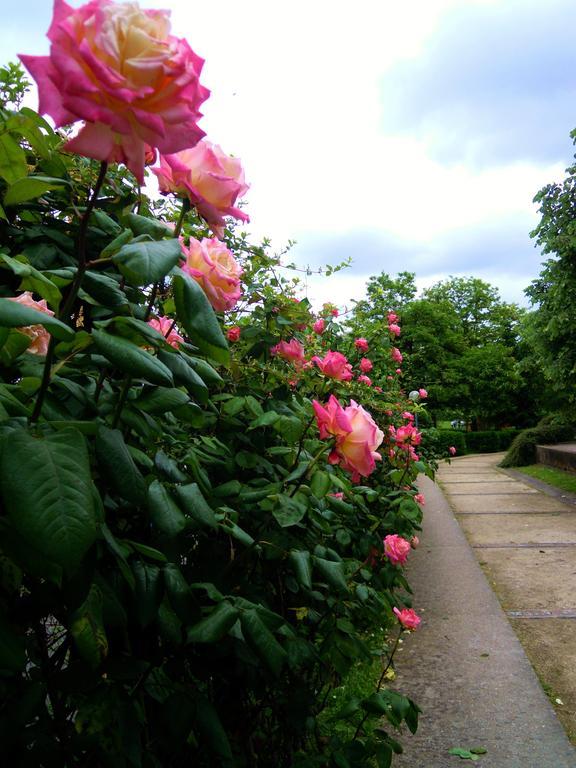 La Roseraie - Hotel&Restaurant Fontenay-aux-Roses Esterno foto